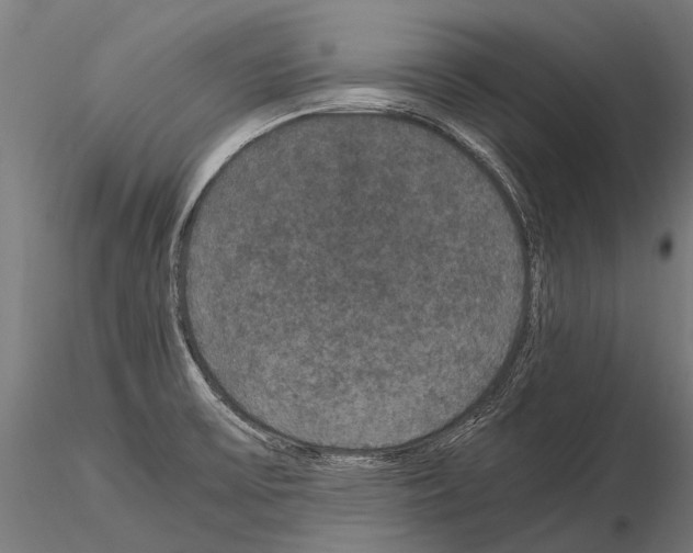 X0000115121475200912081333