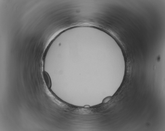 X0000115121476200912081333