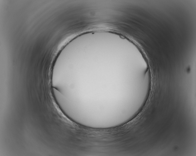 X0000115121477200912081333