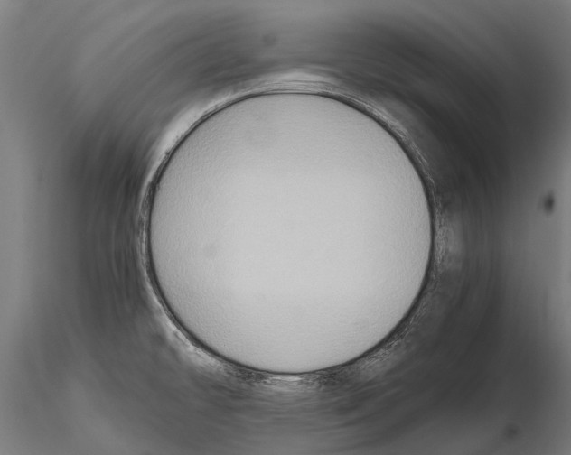 X0000115121478200912081333