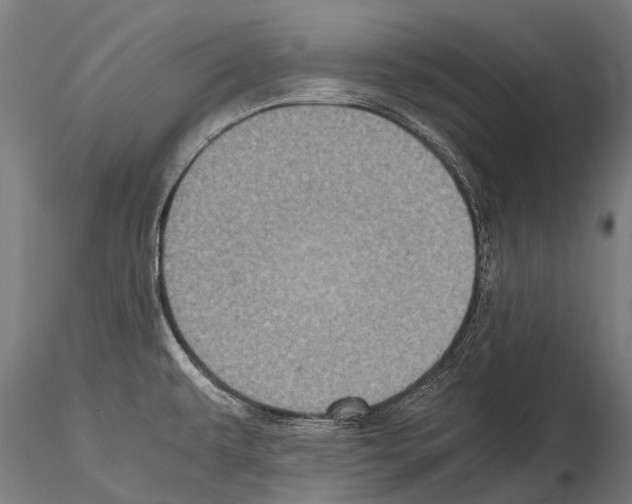 X0000115121479200912081333