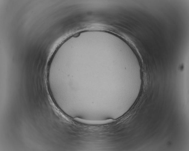 X0000115121480200912081333