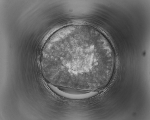 X0000115121481200912081333