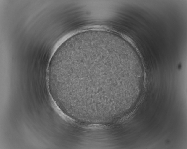 X0000115121482200912081333