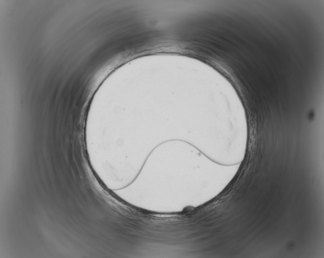 X0000115121483200912081333