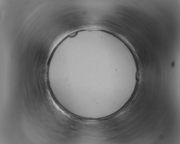 X0000115121484200912081333