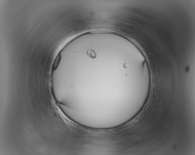 X0000115121485200912081333