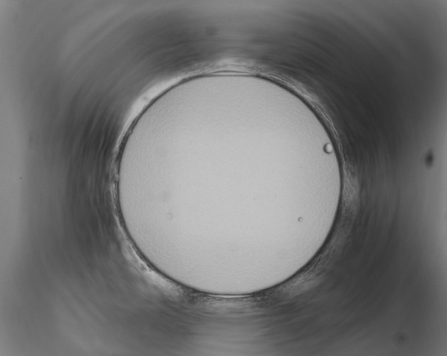 X0000115121486200912081333