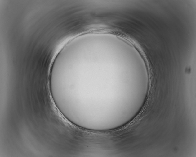 X0000115121488200912081333