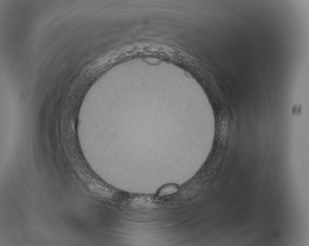 X0000115121489200912081332