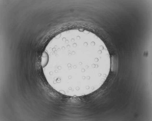 X0000115121491200912081332