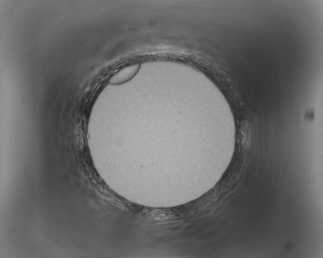 X0000115121493200912081332