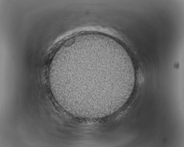 X0000115121494200912081332