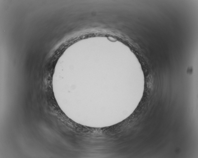 X0000115121495200912081332