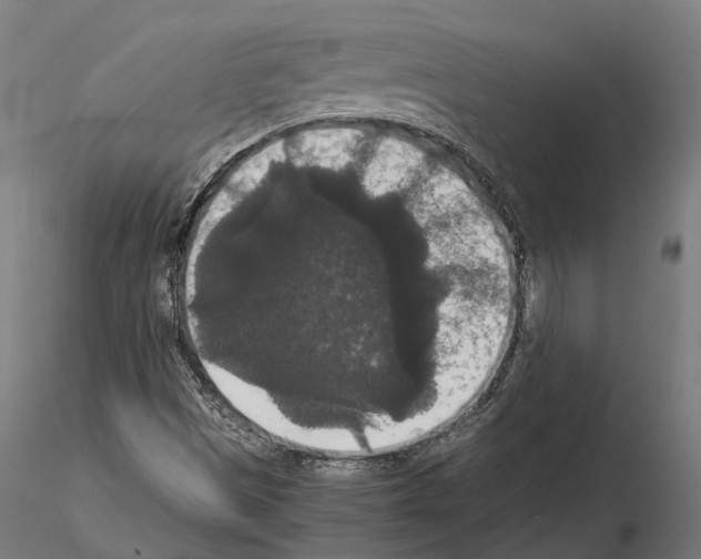 X0000115121497200912081332