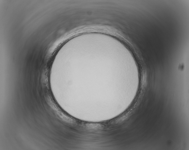 X0000115121498200912081332