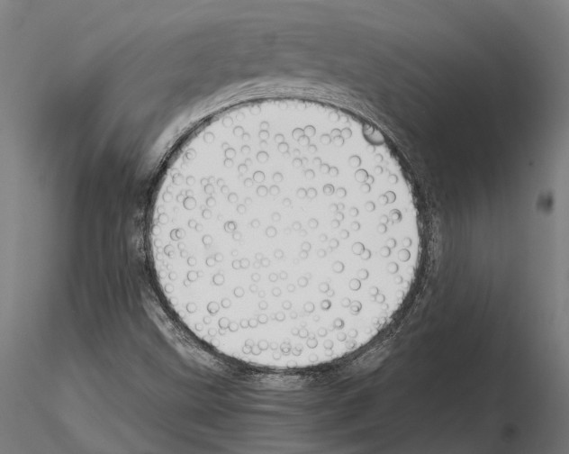 X0000115121499200912081332