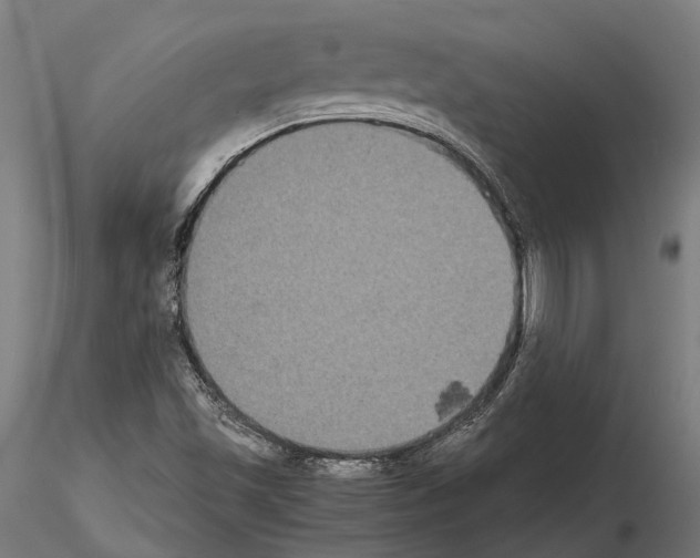 X0000115121501200912081332