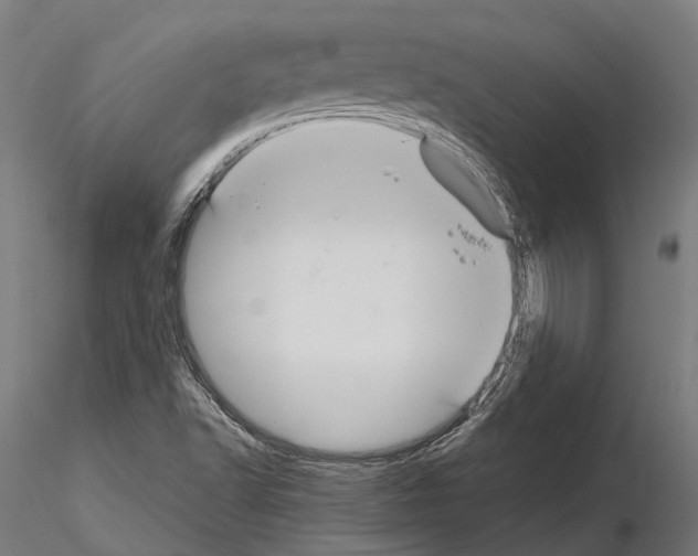 X0000115121502200912081332