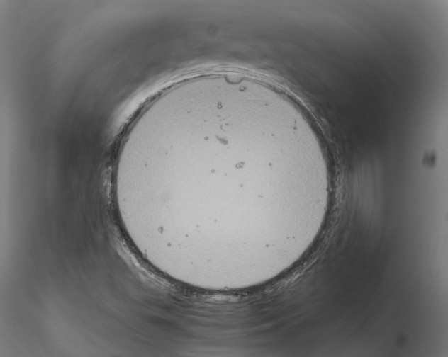 X0000115121503200912081332