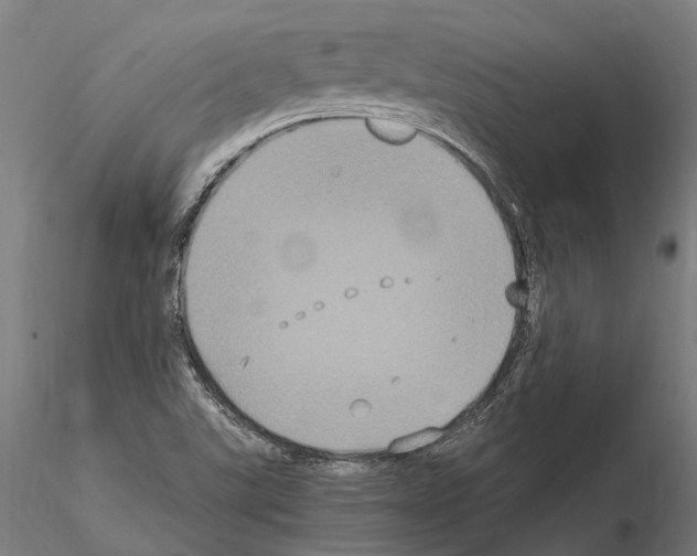 X0000115121507200912081332