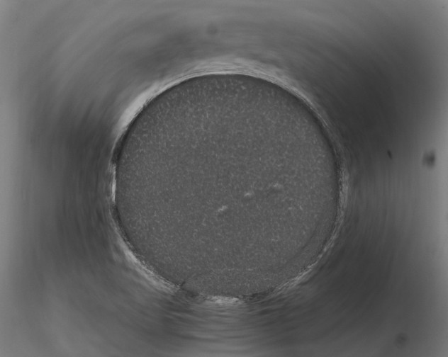 X0000115121509200912081333