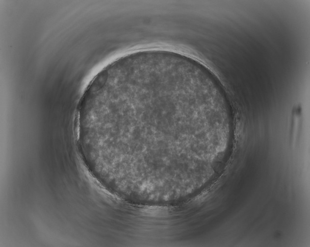 X0000115121510200912081333