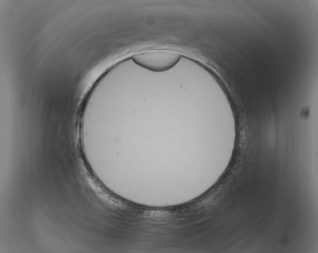 X0000115121511200912081333