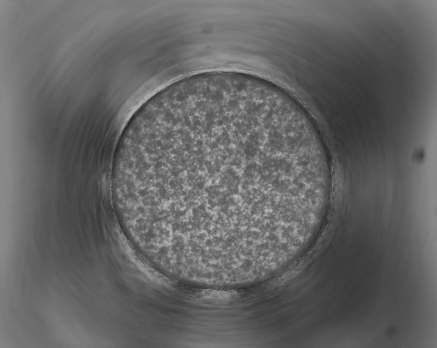 X0000115121513200912081333