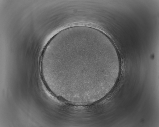 X0000115121515200912081333