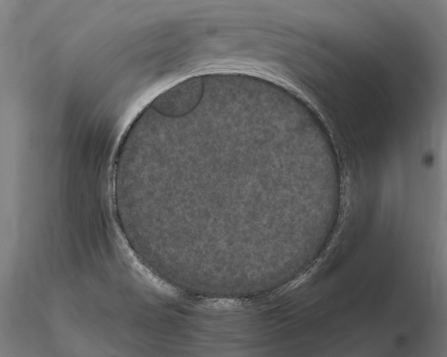 X0000115121517200912081333