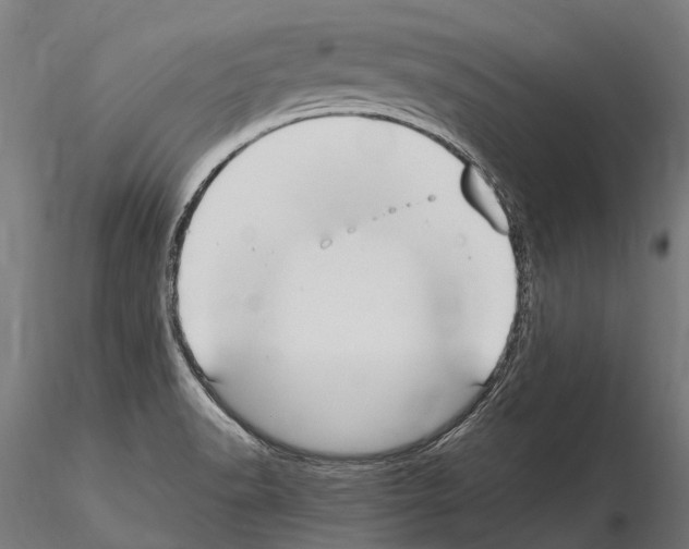 X0000115121518200912081333