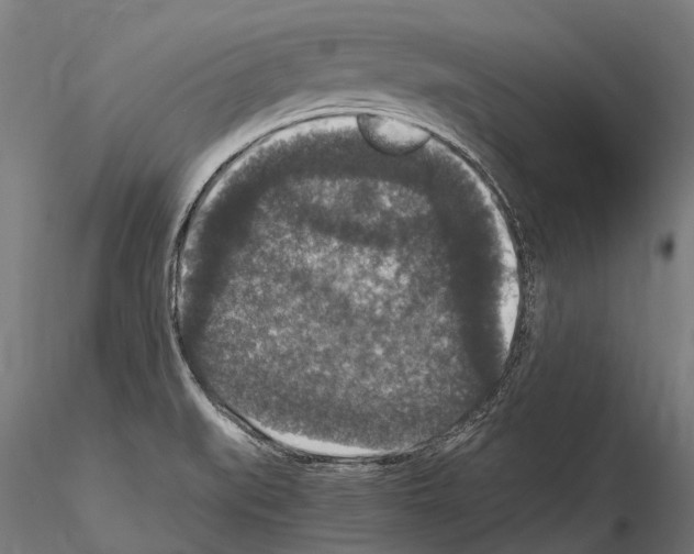 X0000115121519200912081333