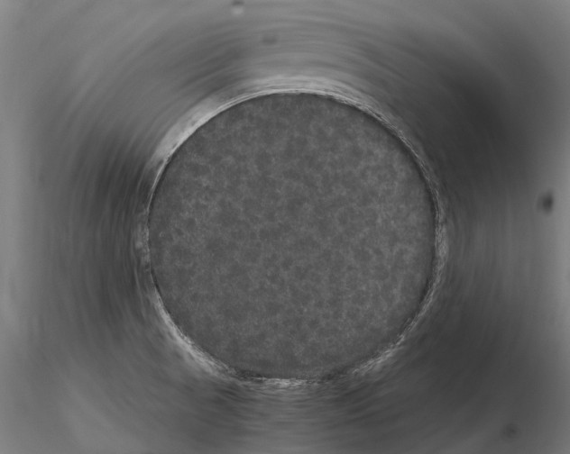 X0000115121521200912081333