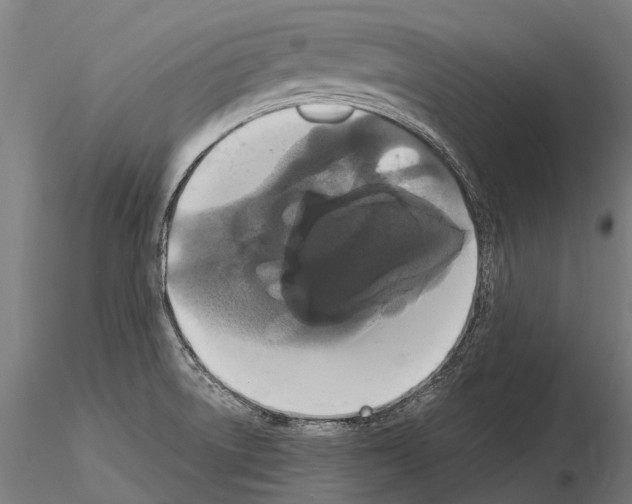 X0000115121522200912081333