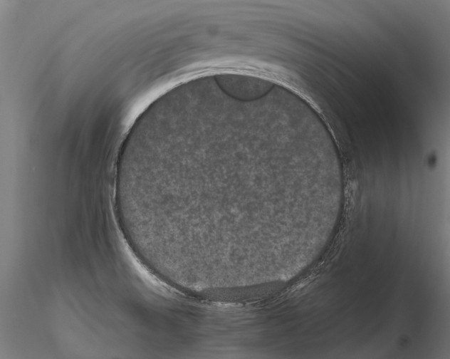 X0000115121523200912081333