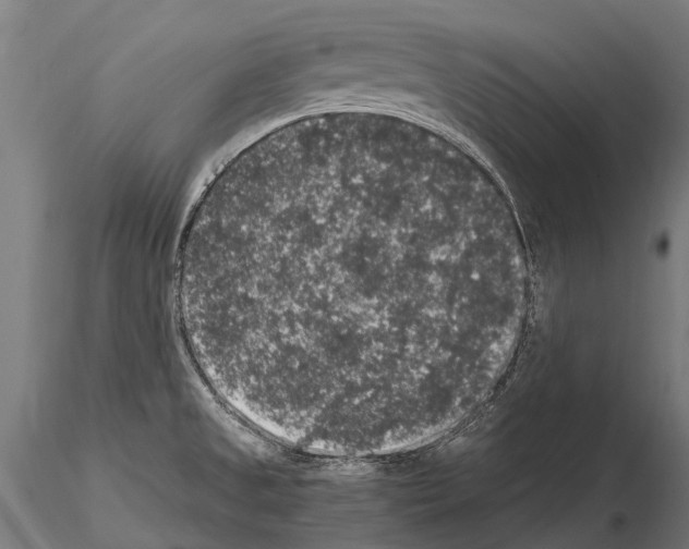 X0000115121525200912081333