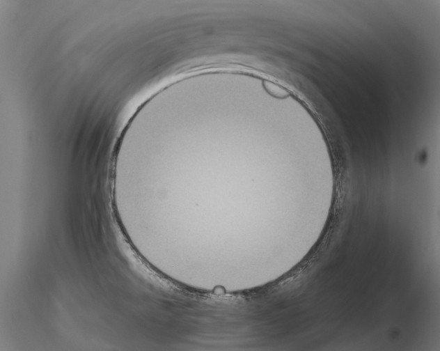 X0000115121526200912081333