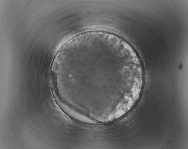 X0000115121529200912081333