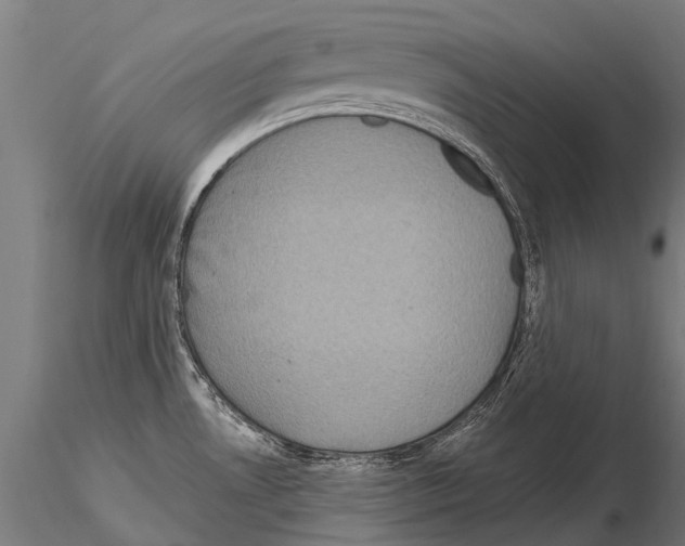 X0000115121530200912081333