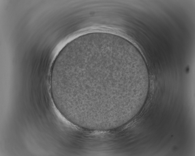 X0000115121531200912081333