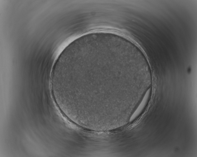 X0000115121533200912081333