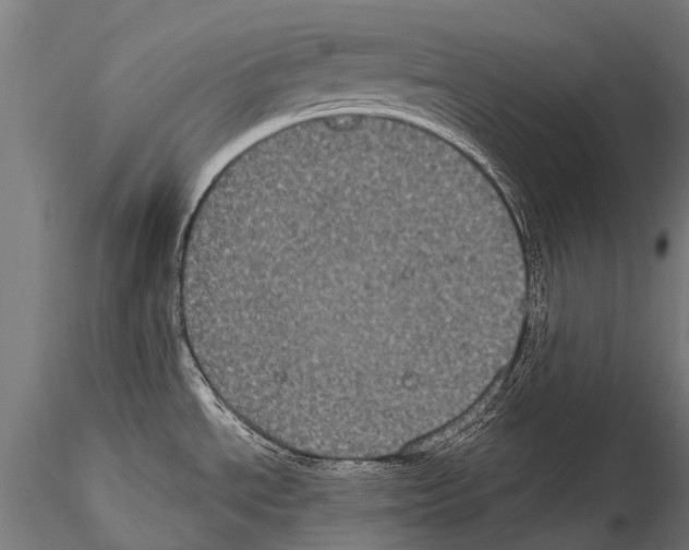 X0000115121534200912081333