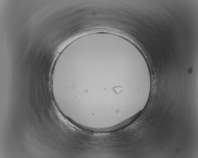 X0000115121535200912081333