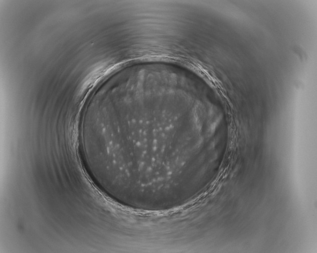 X0000115130002200911101656