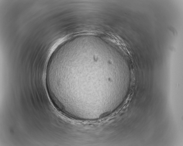 X0000115130003200911101656