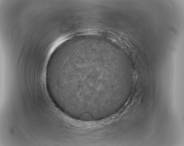 X0000115130006200911101656
