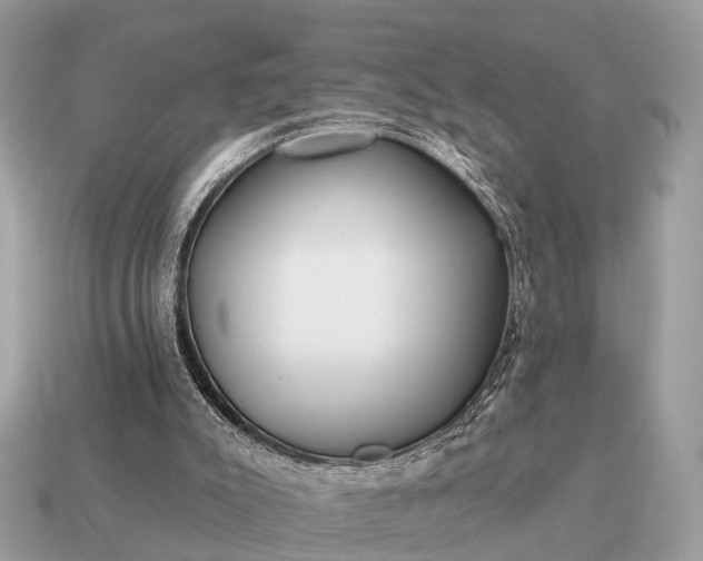 X0000115130007200911101656