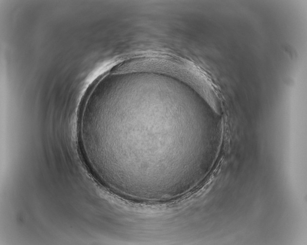 X0000115130008200911101656