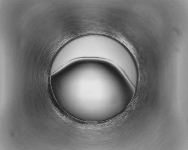 X0000115130009200911101656